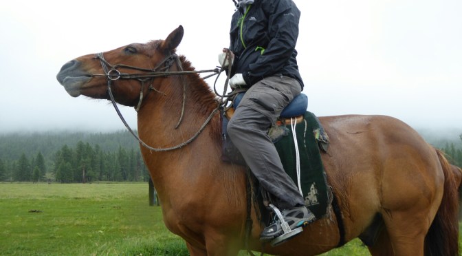 Central Mongolia Part Two – Horse Trekking