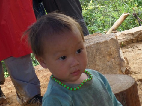 14095018175876.jpg image