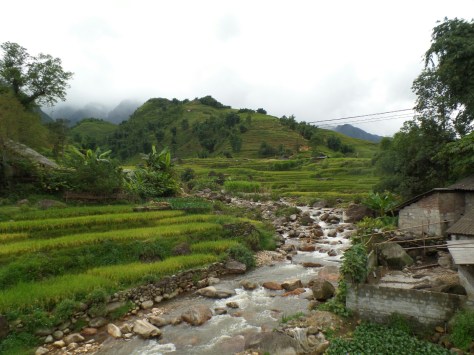 14095023252425.jpg image