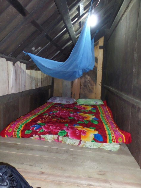 14095027150763.jpg image