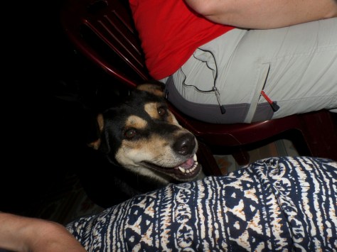 14095042453266.jpg image