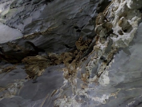 14112799889082.jpg image