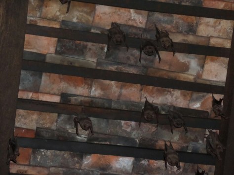 14145031725335.jpg image