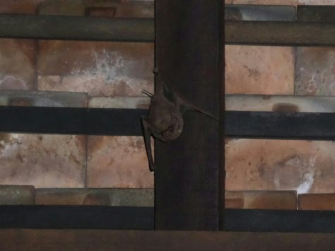 14145031952566.jpg image