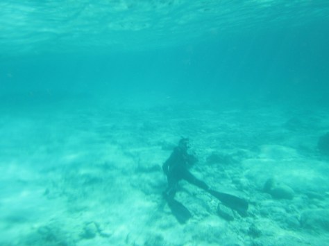 14252680586250 (1).jpg image