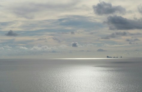 14252698128094 (1).jpg image