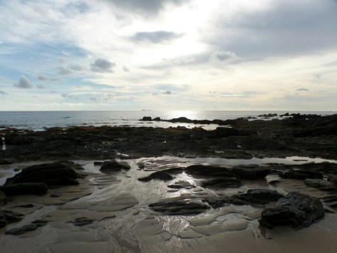 14252713774730 (1).jpg image