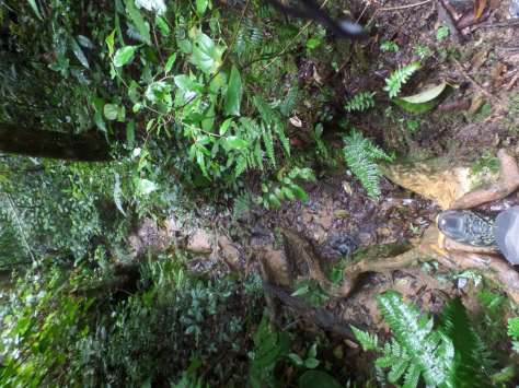 SAMSUNG CAMERA PICTURES