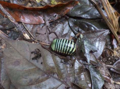 SAMSUNG CAMERA PICTURES